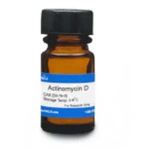 Actinomycin D