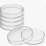 Petri Dish
