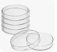 Petri Dish